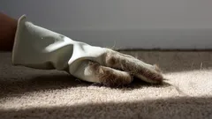 Objevte nový způsob, jak snadno zatočit s chlupy na koberci během chvilky